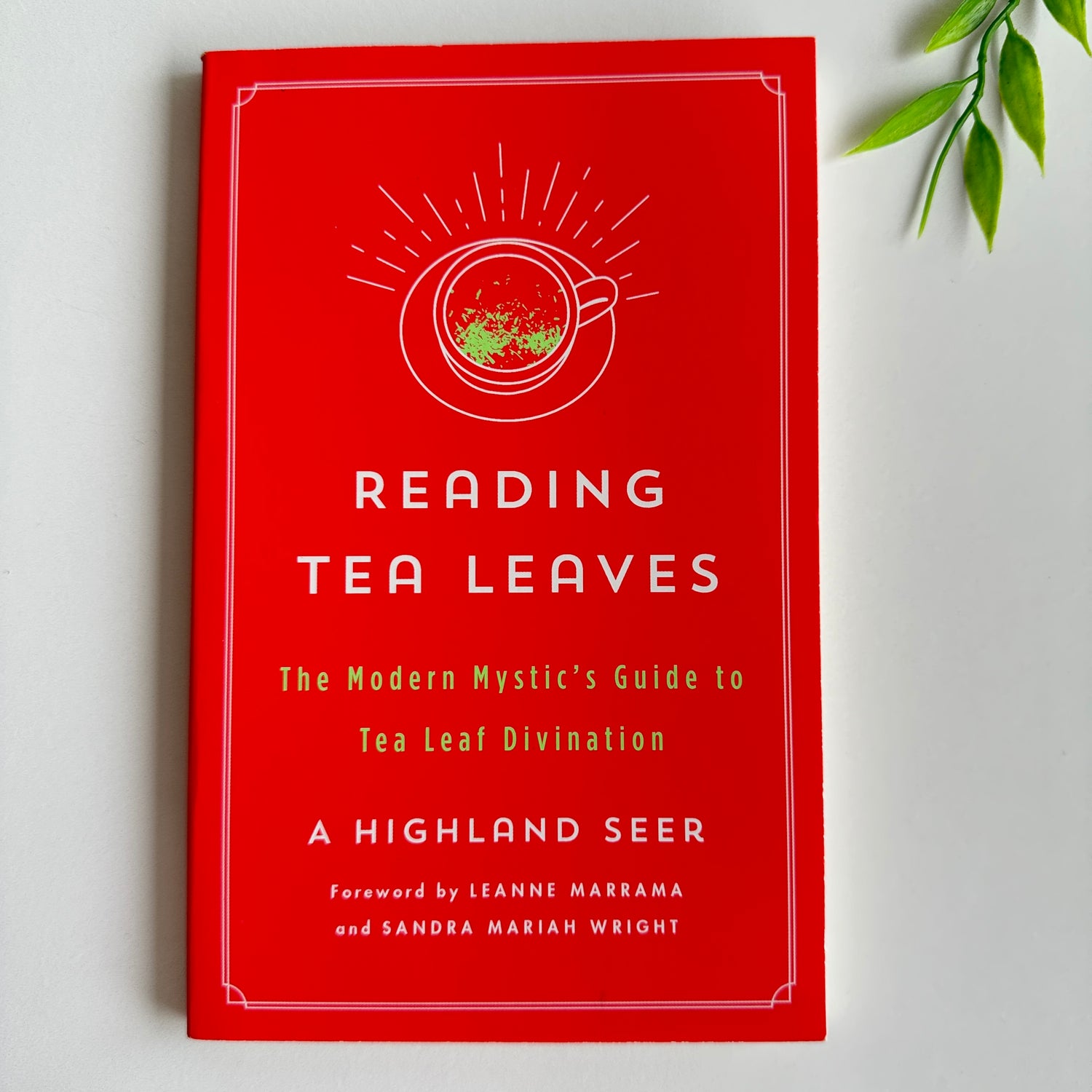 Reading Tea Leaves A Highland Seer