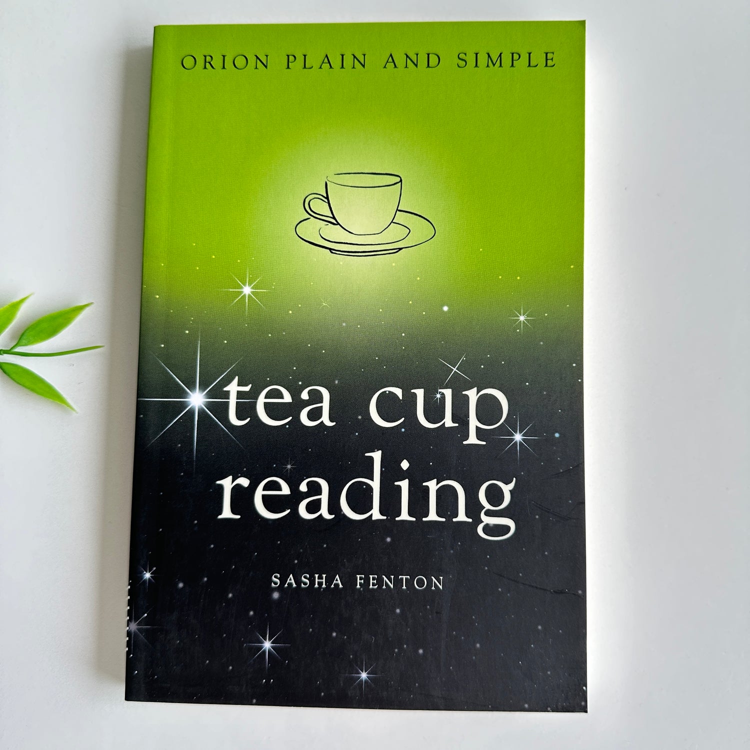 Tea Cup Reading Sasha Fenton