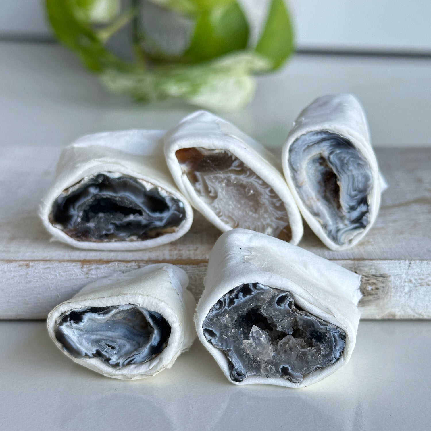 Agate Geodes - Sml