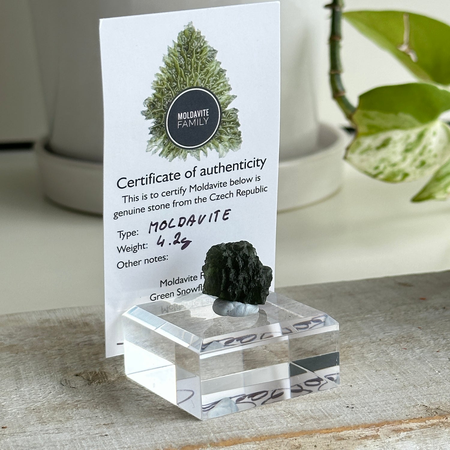 Moldavite Pc 4.26g