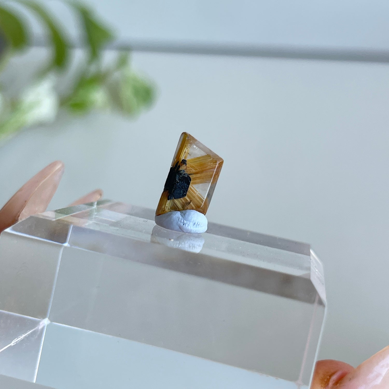 Rutilated Quartz Pc