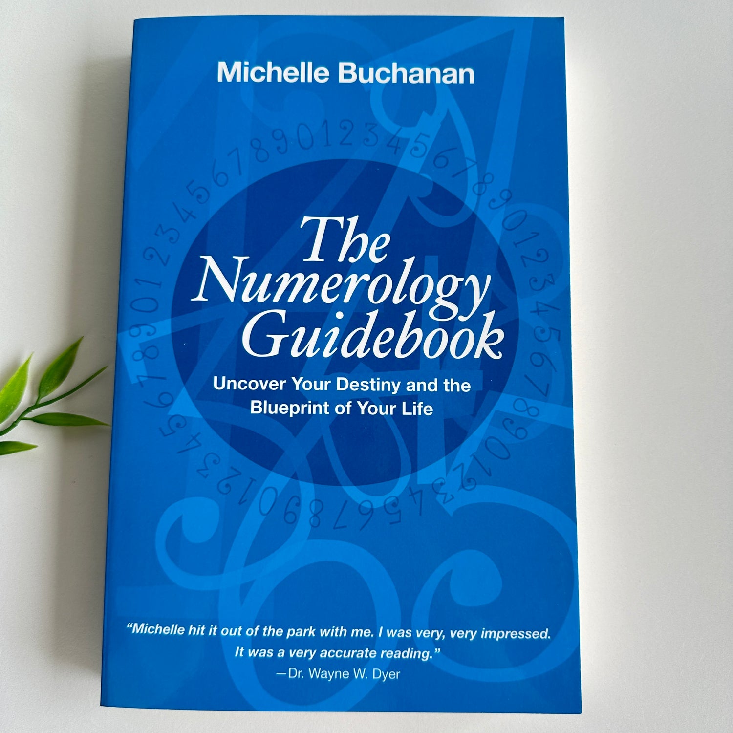 The Numerology Guidebook Michelle Buchanan