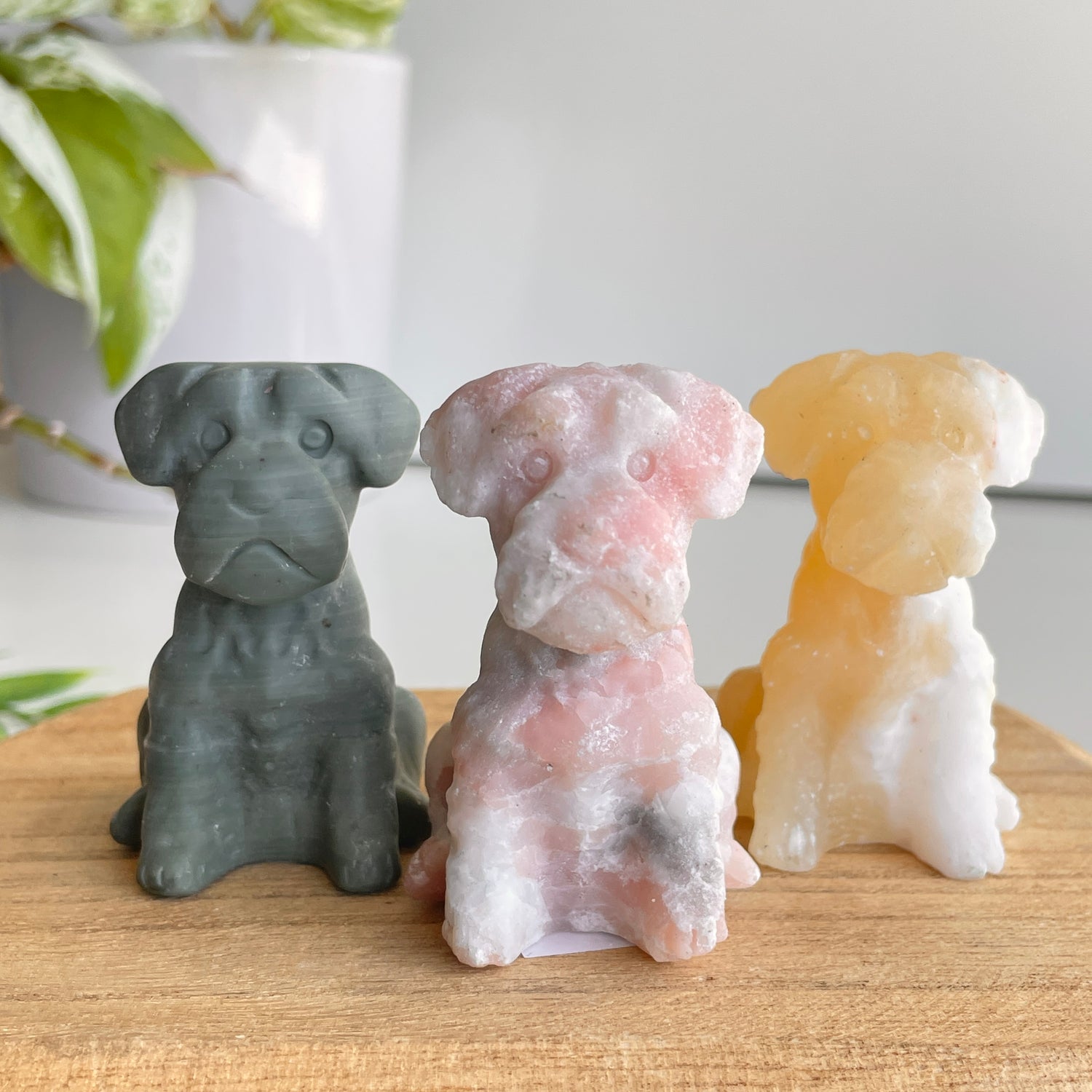 Crystal Dog