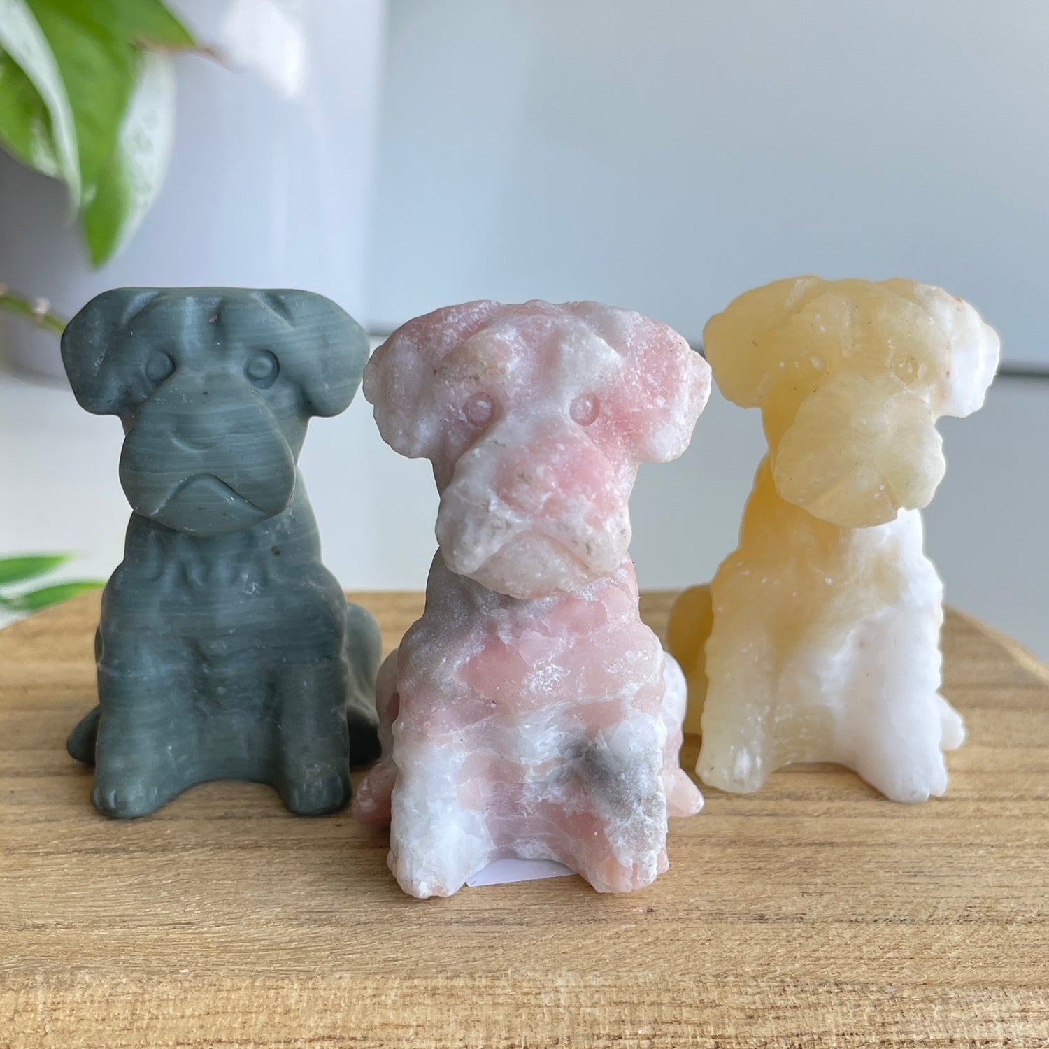 Crystal Dog