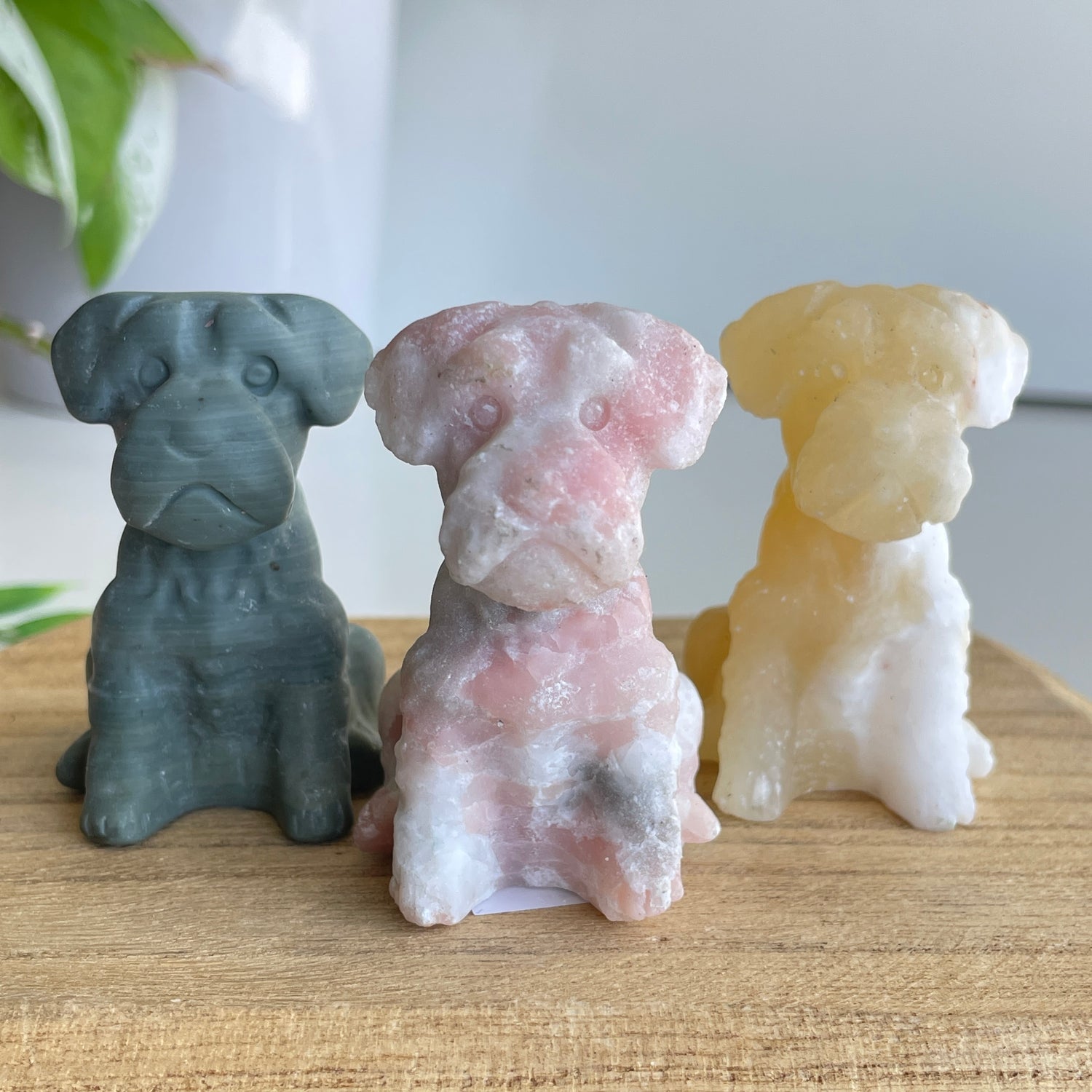 Crystal Dog