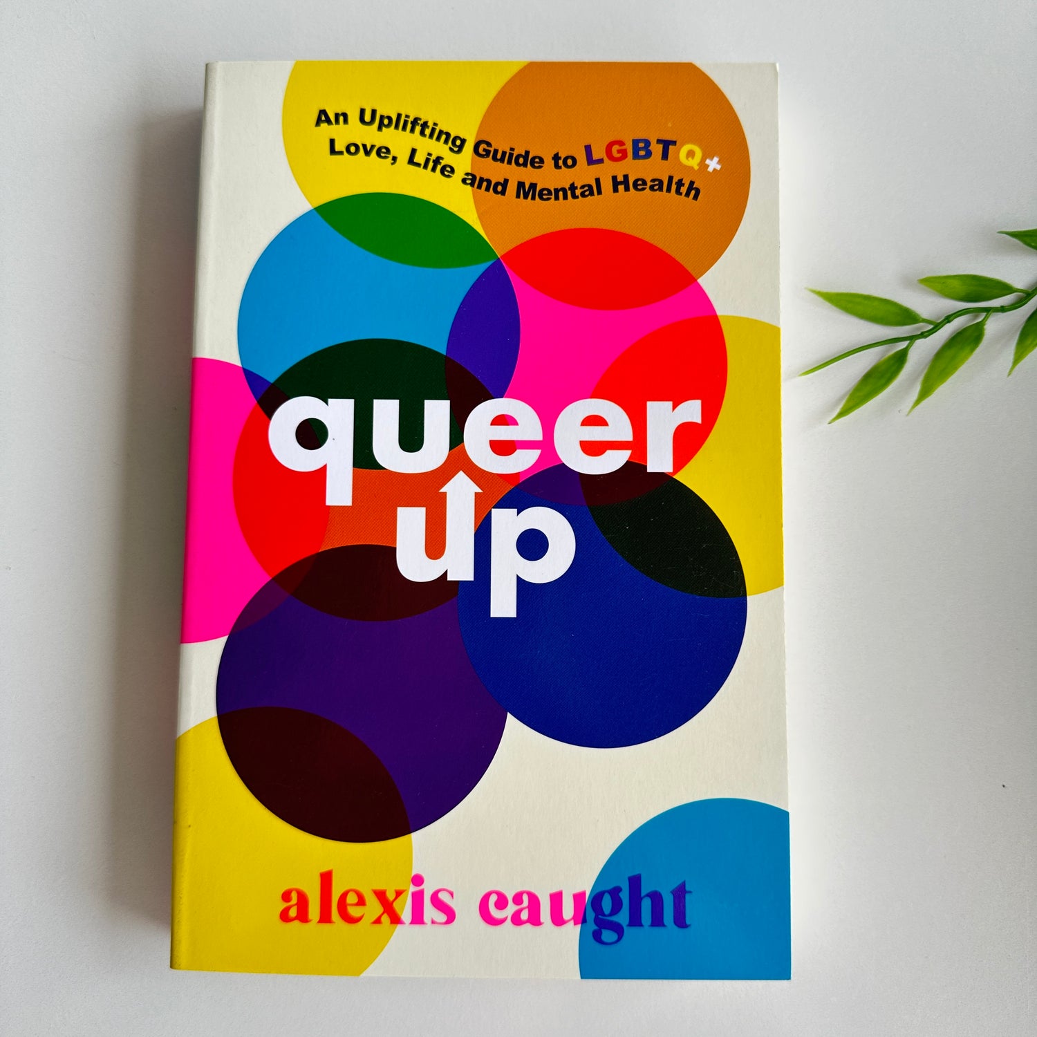 Queer Up Alexis Caught