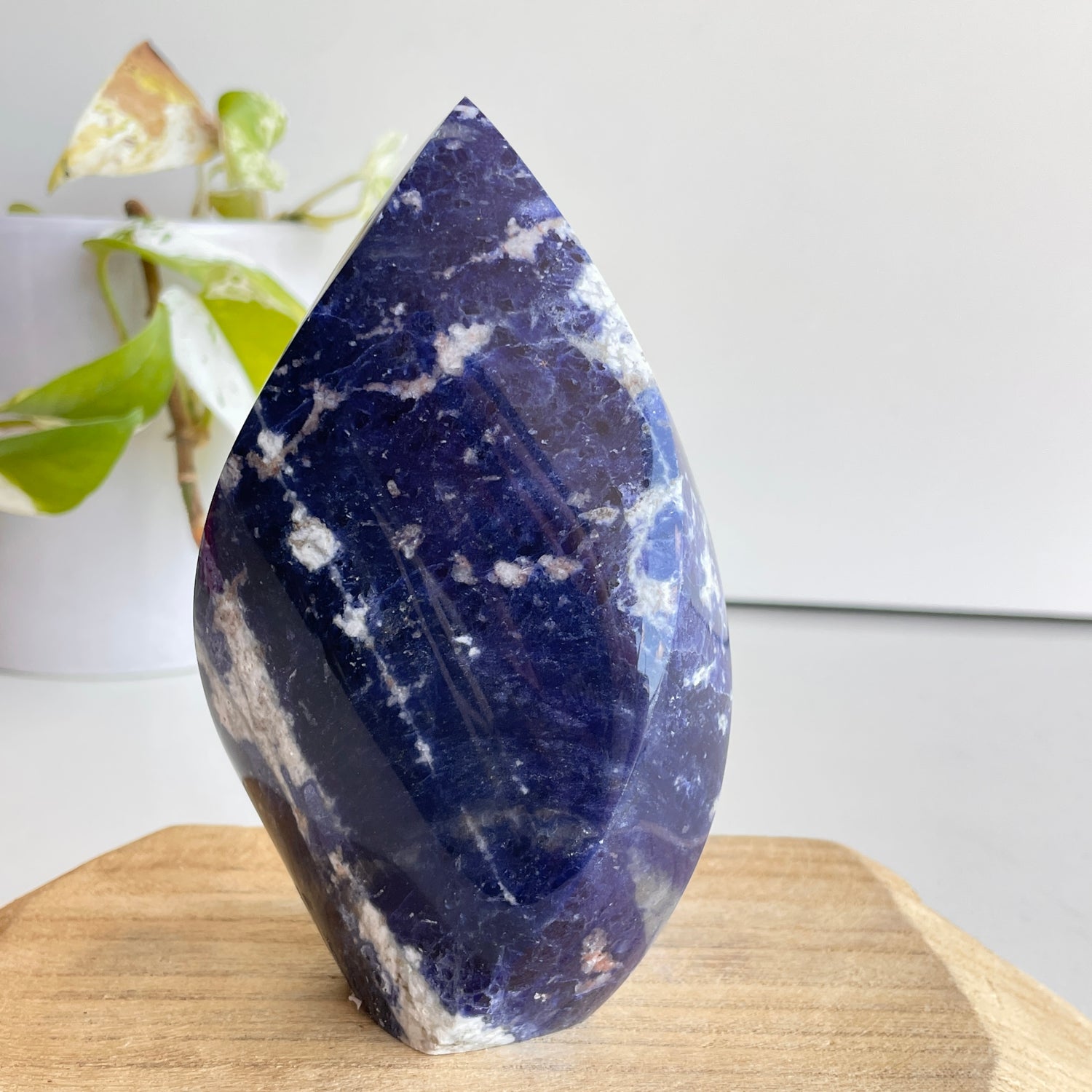 Sodalite Flame 13.4cm - High Quality