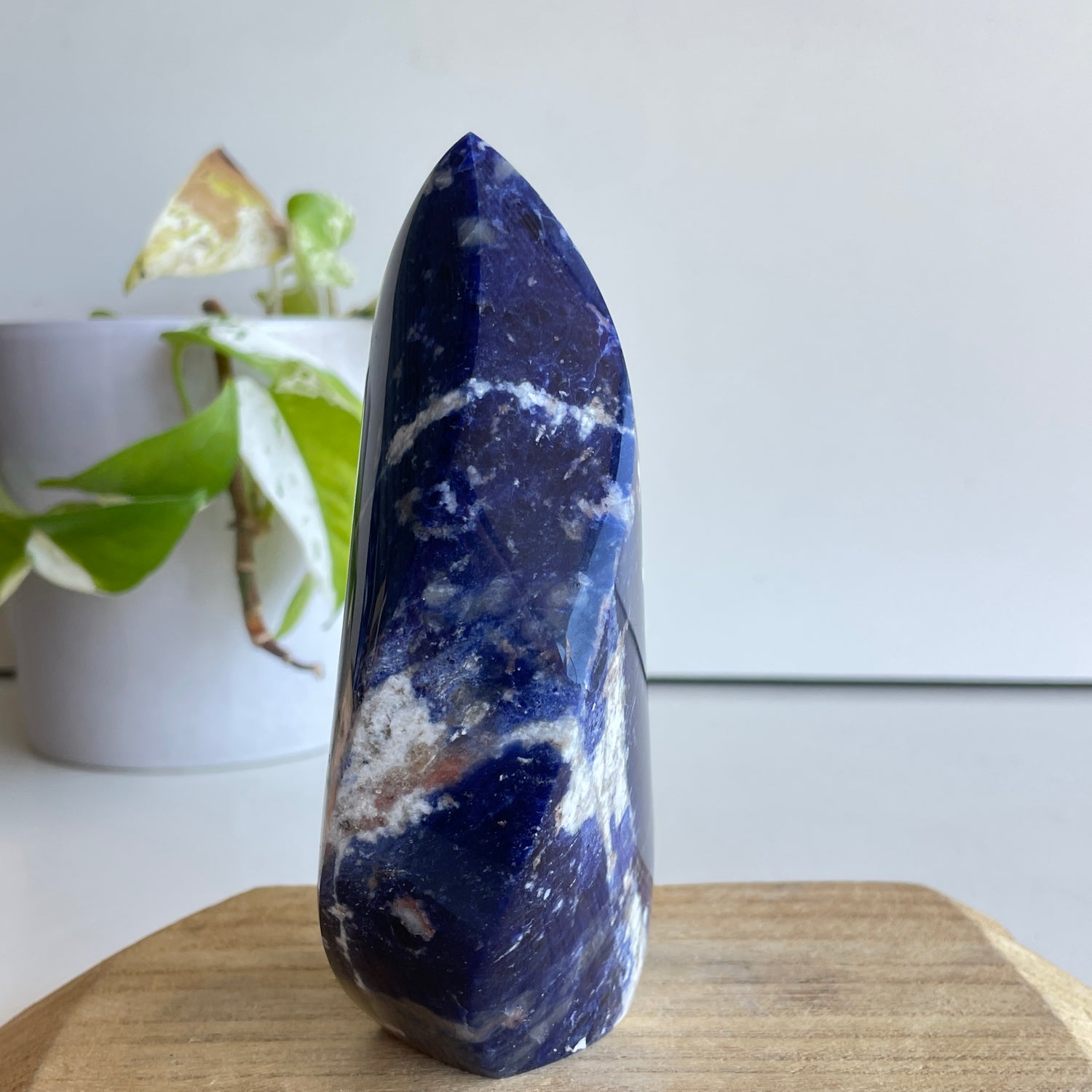 Sodalite Flame 13.4cm - High Quality