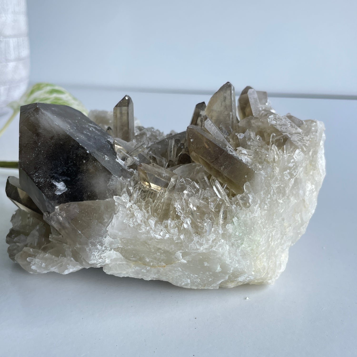 Smoky Citrine Cluster 824g