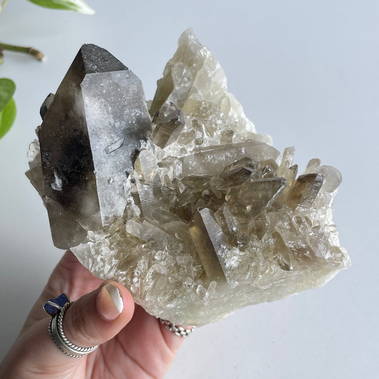 Smoky Citrine Cluster 824g