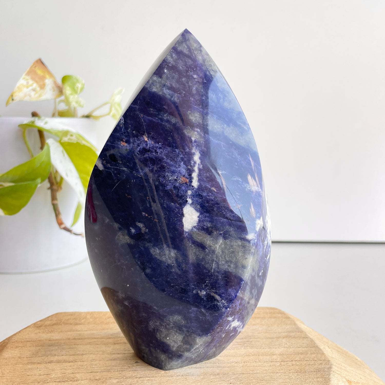 Sodalite Flame 15.2cm - High Quality