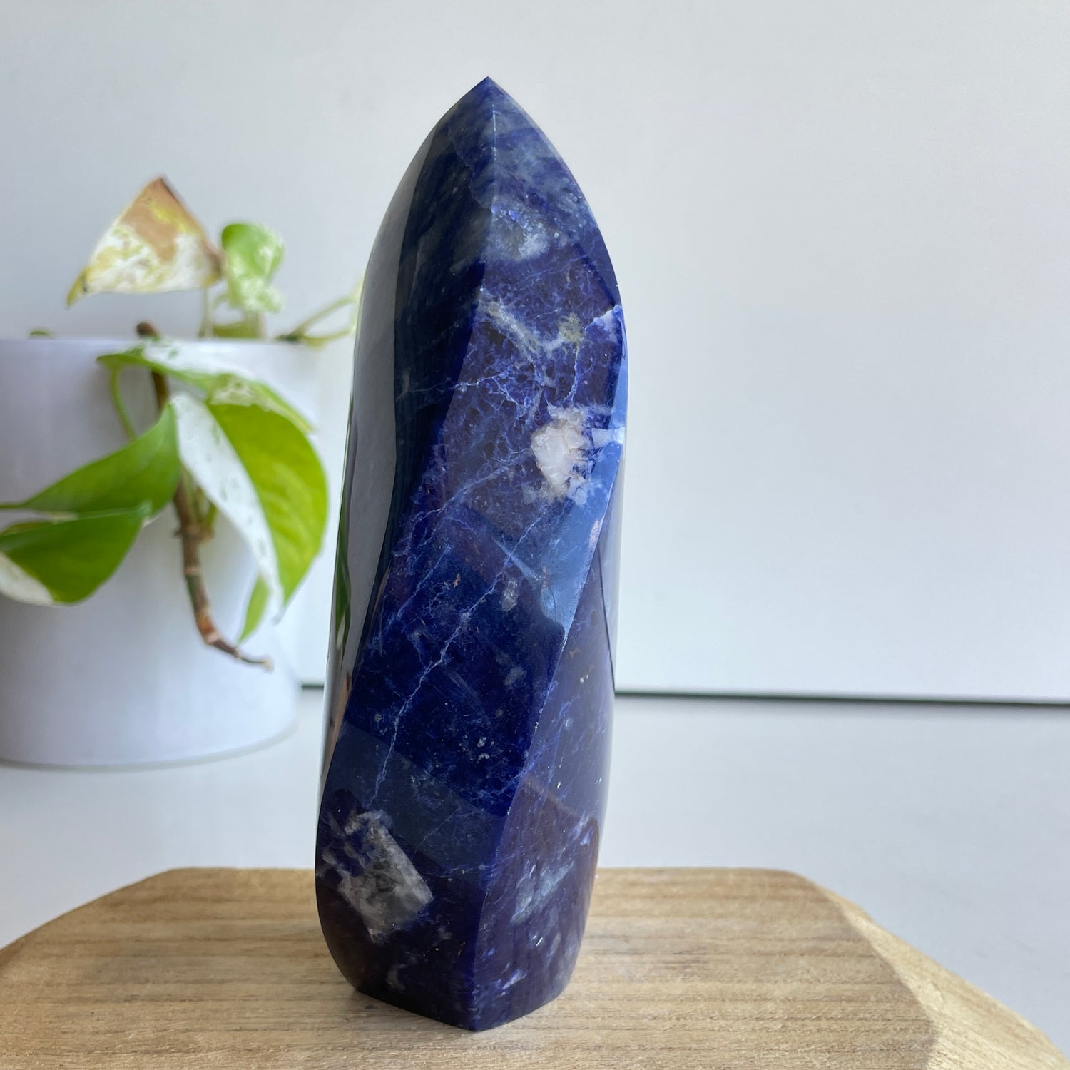 Sodalite Flame 15.2cm - High Quality