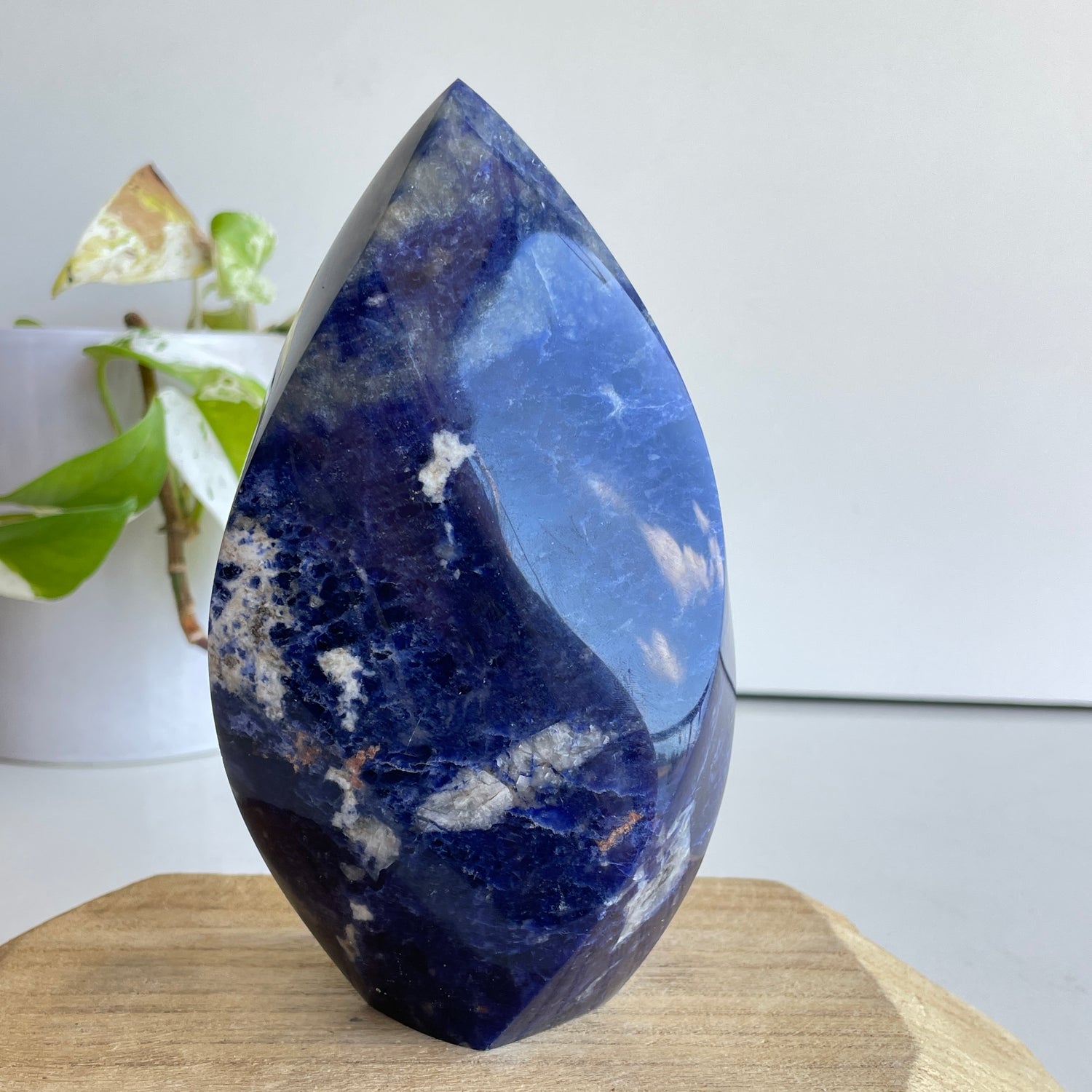 Sodalite Flame 15.2cm - High Quality