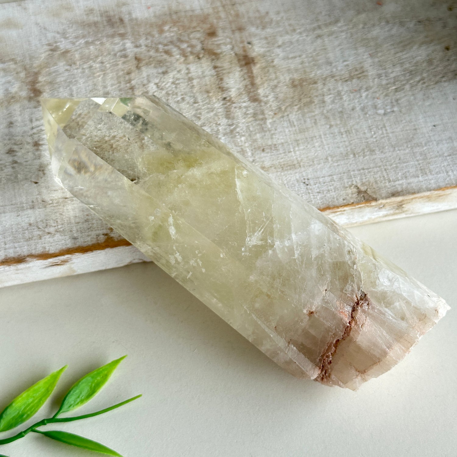 Lemon Topaz Generator 14.3cm