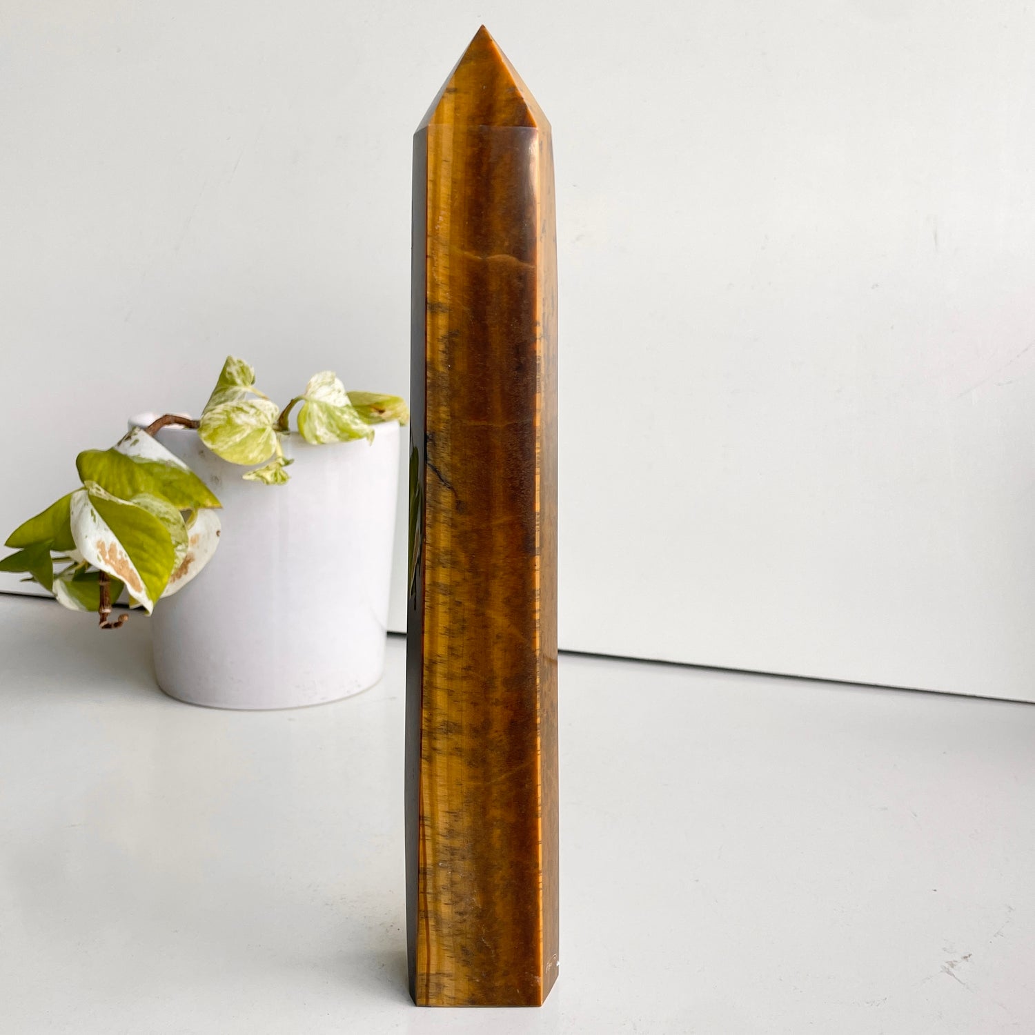 Tigers Eye Generator 28.2cm