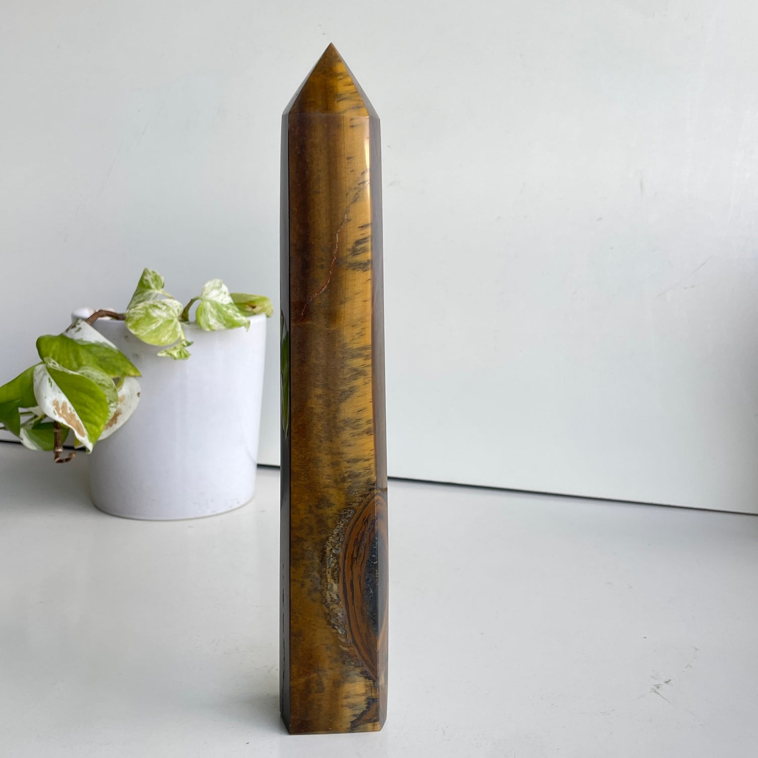 Tigers Eye Generator 28.2cm
