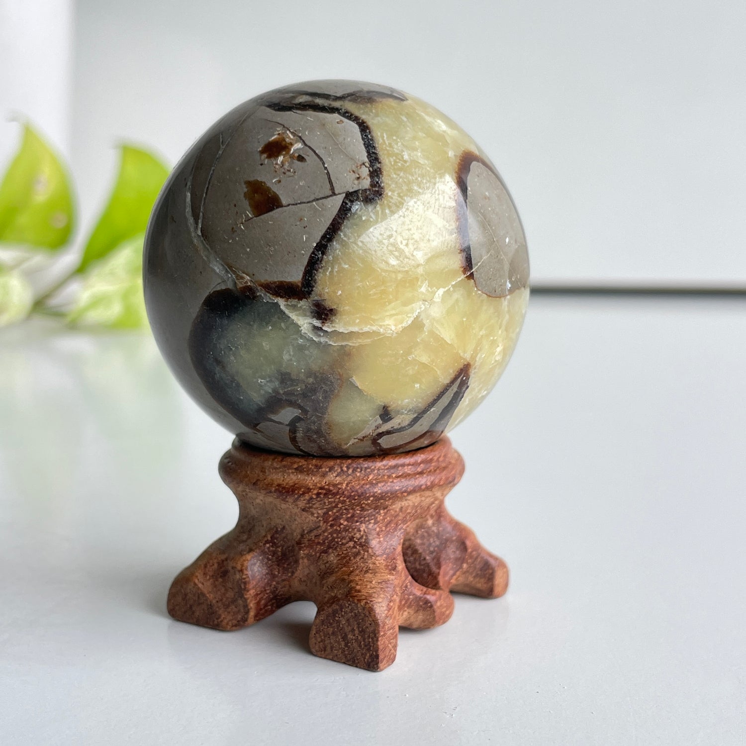 Septarian Sphere 5.2cm