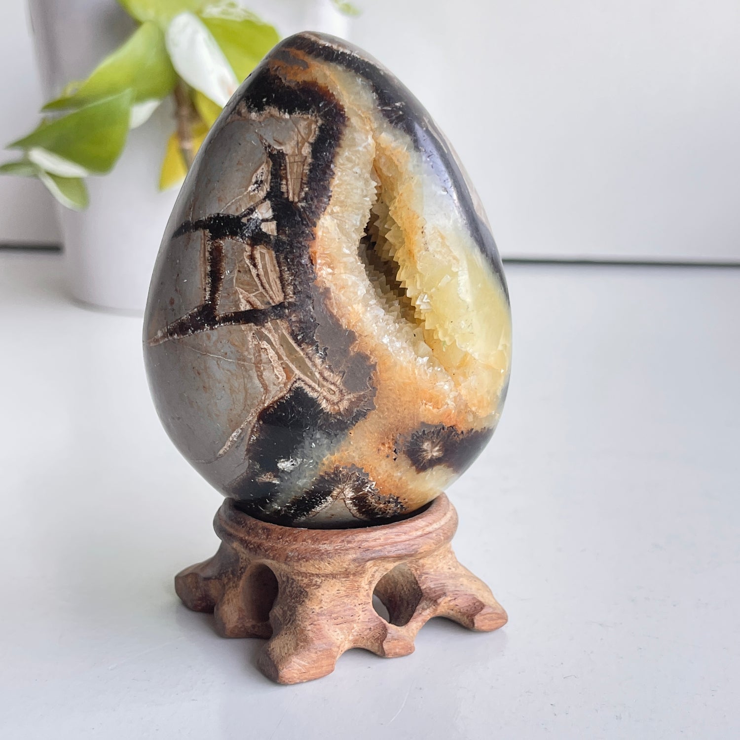Septarian Egg 8.6cm