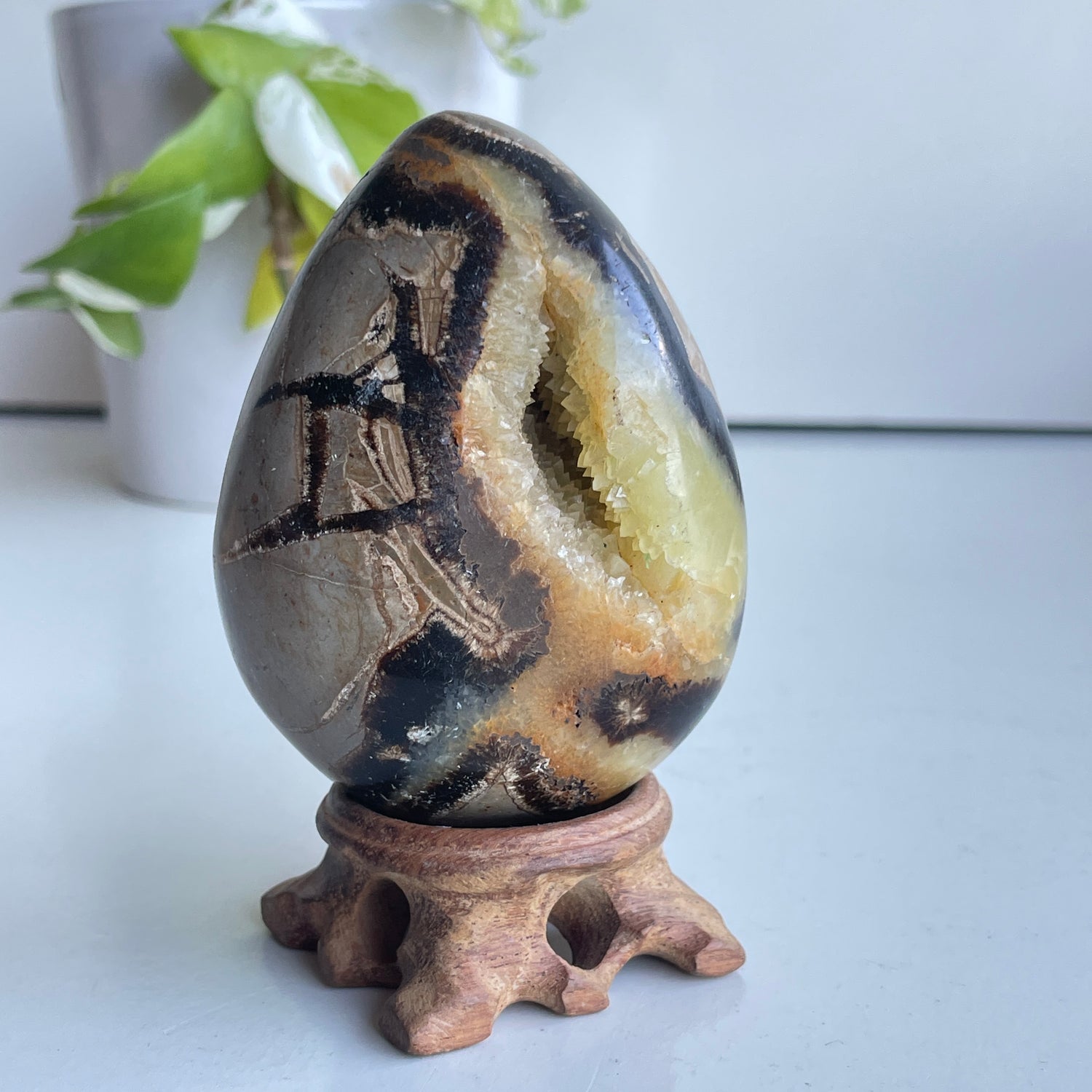 Septarian Egg 8.6cm