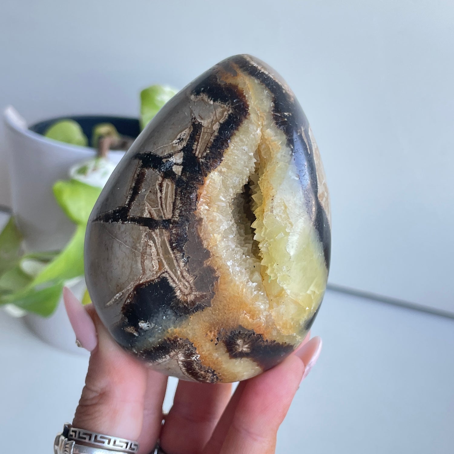 Septarian Egg 8.6cm