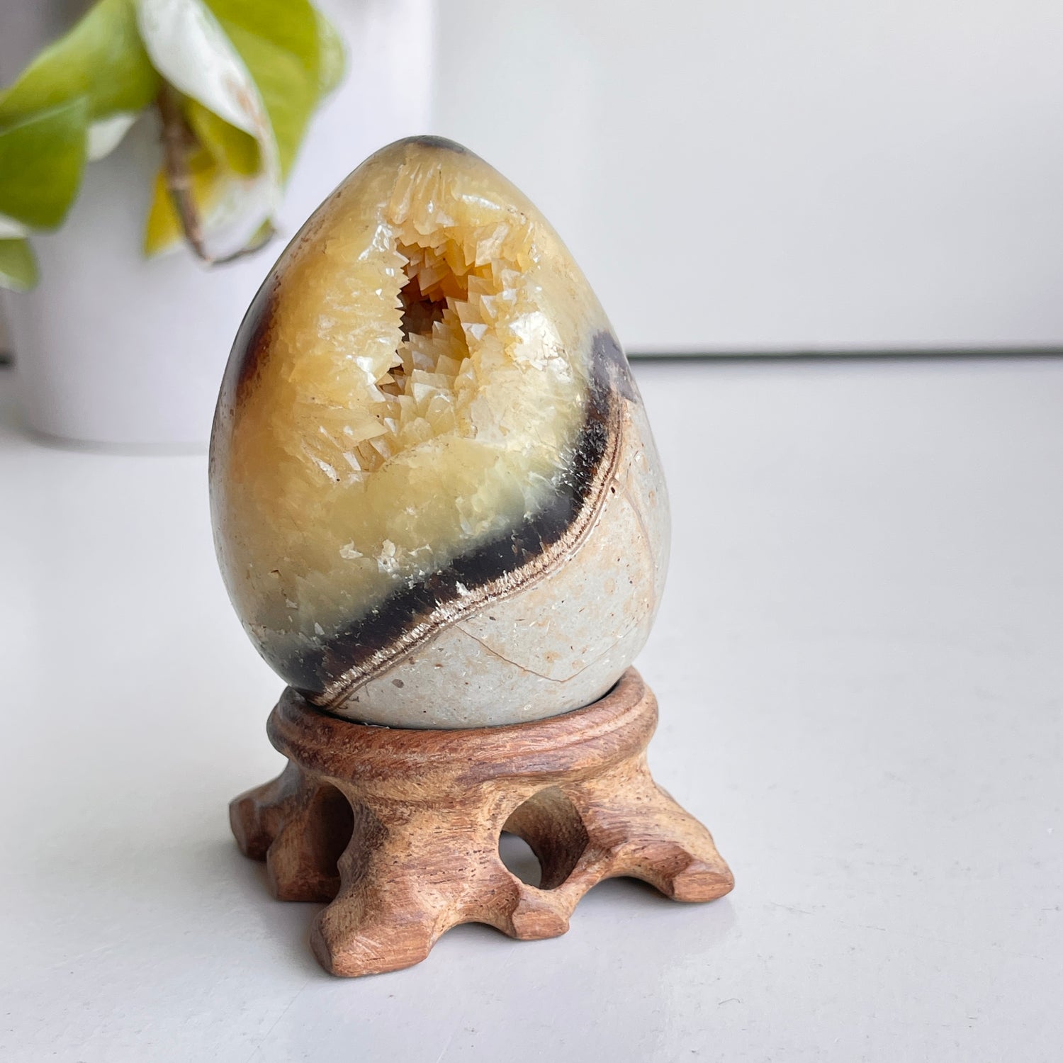 Septarian Egg 6.7cm