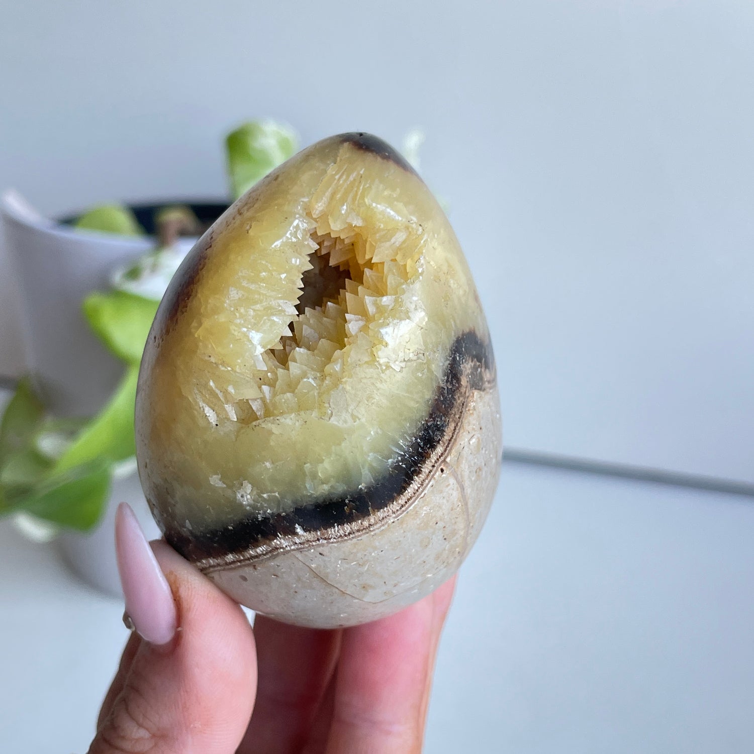 Septarian Egg 6.7cm