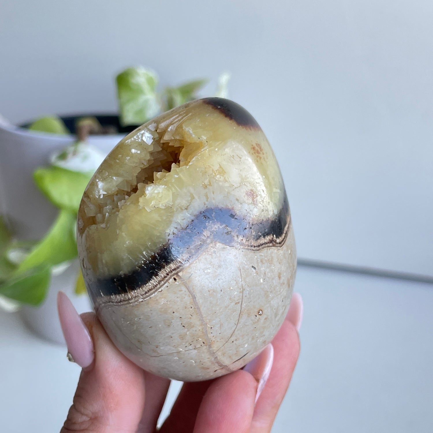 Septarian Egg 6.7cm