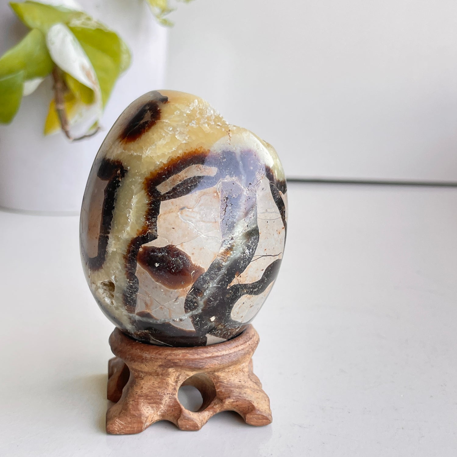 Septarian Egg 7.5cm