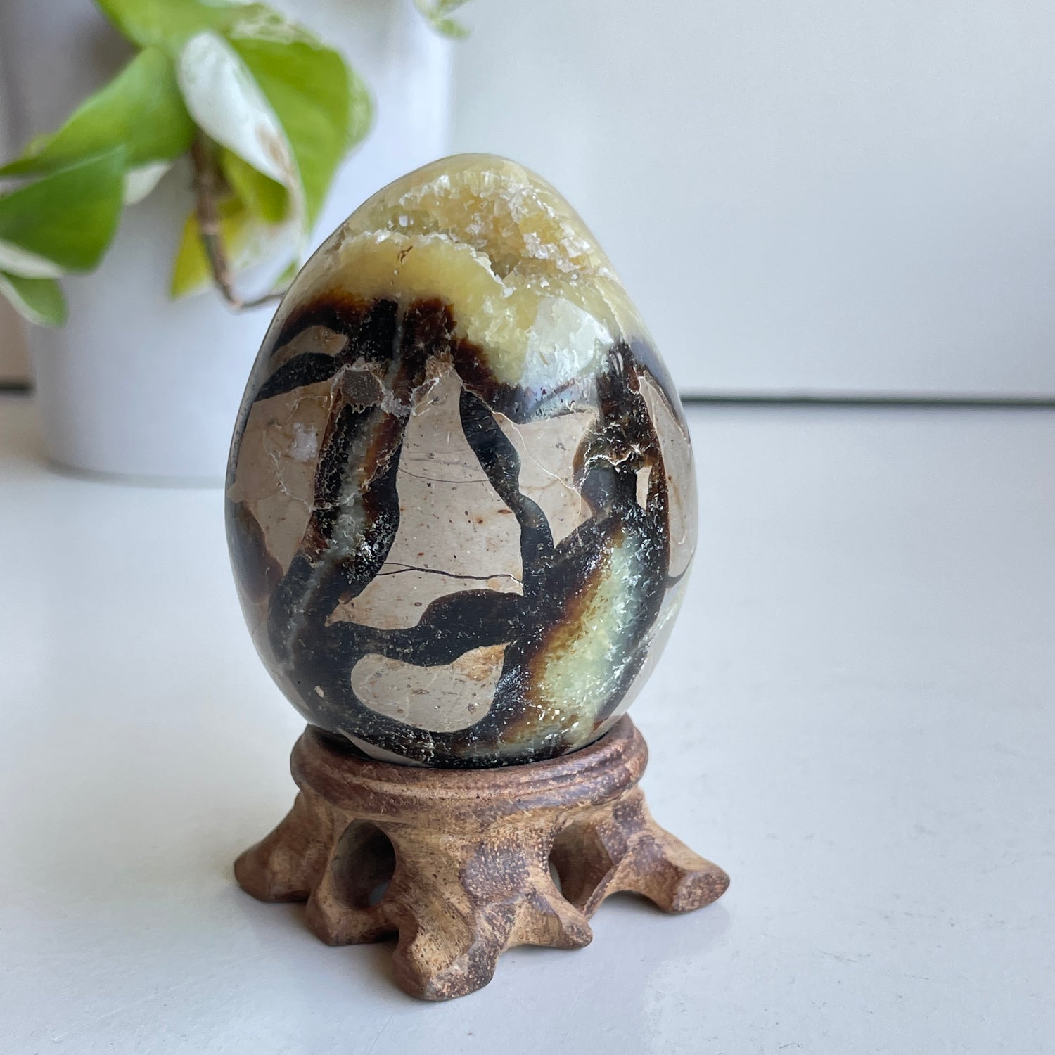Septarian Egg 7.5cm