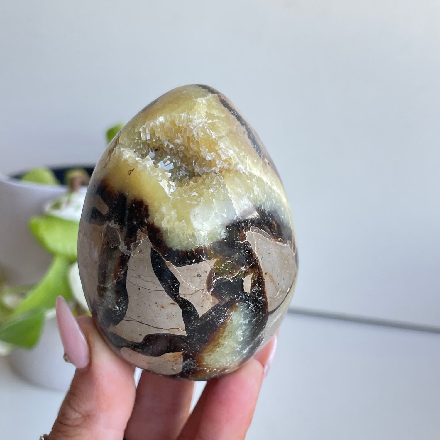Septarian Egg 7.5cm