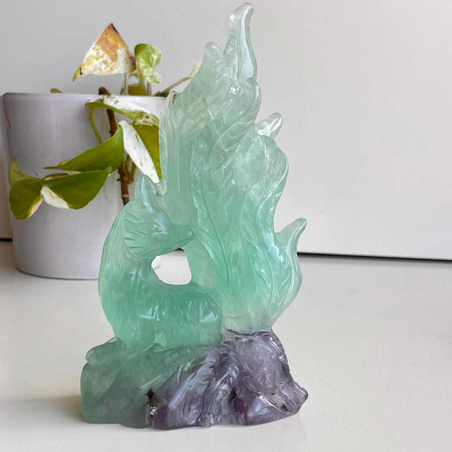 Fluorite Fox 2