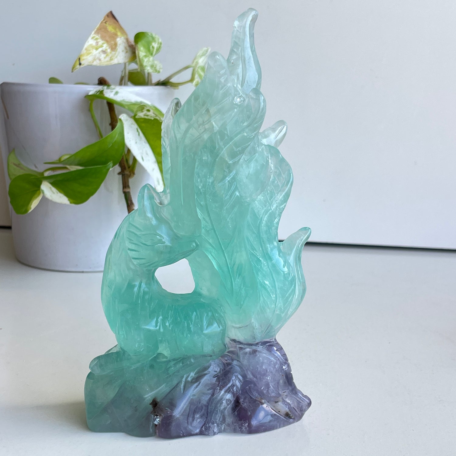 Fluorite Fox 2