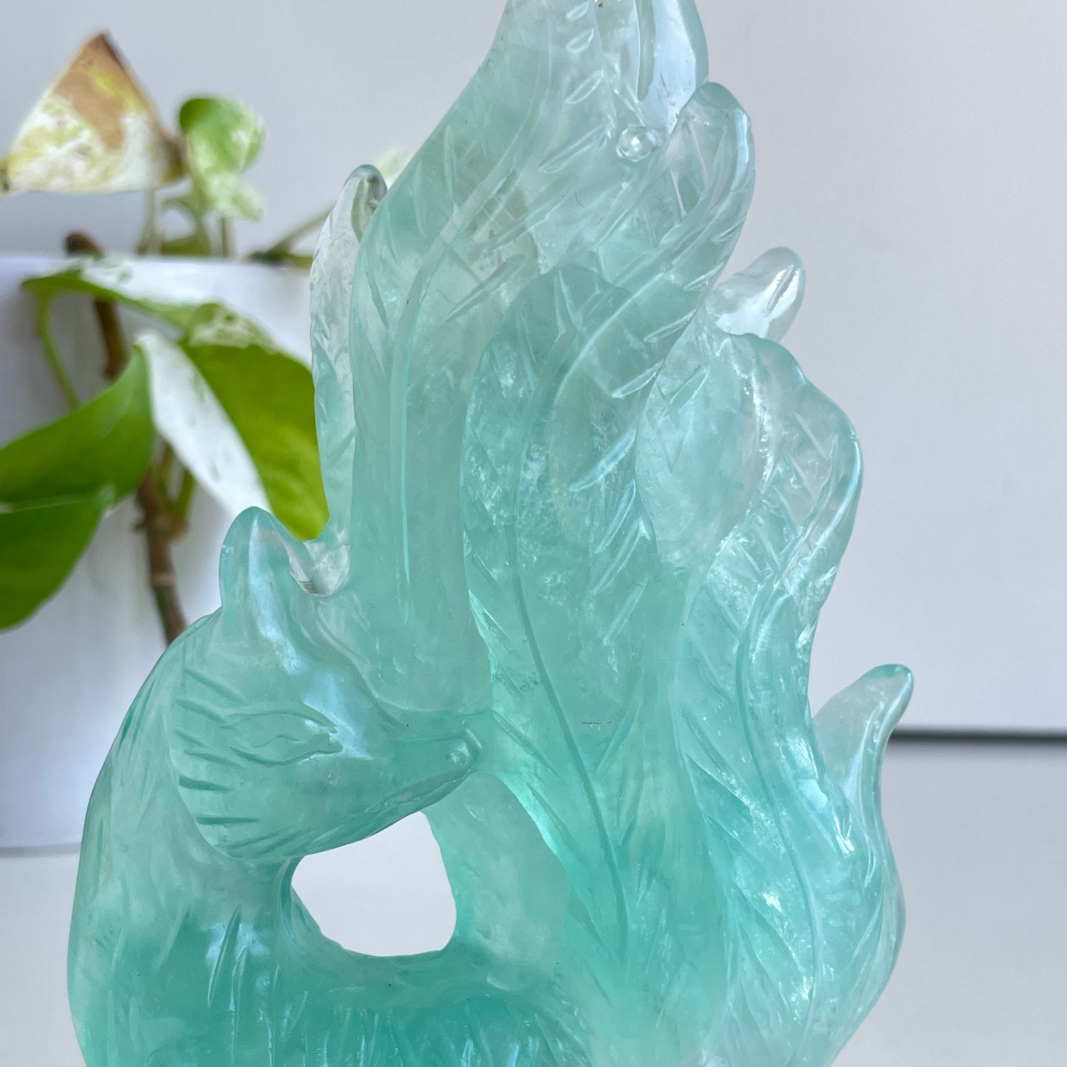 Fluorite Fox 2