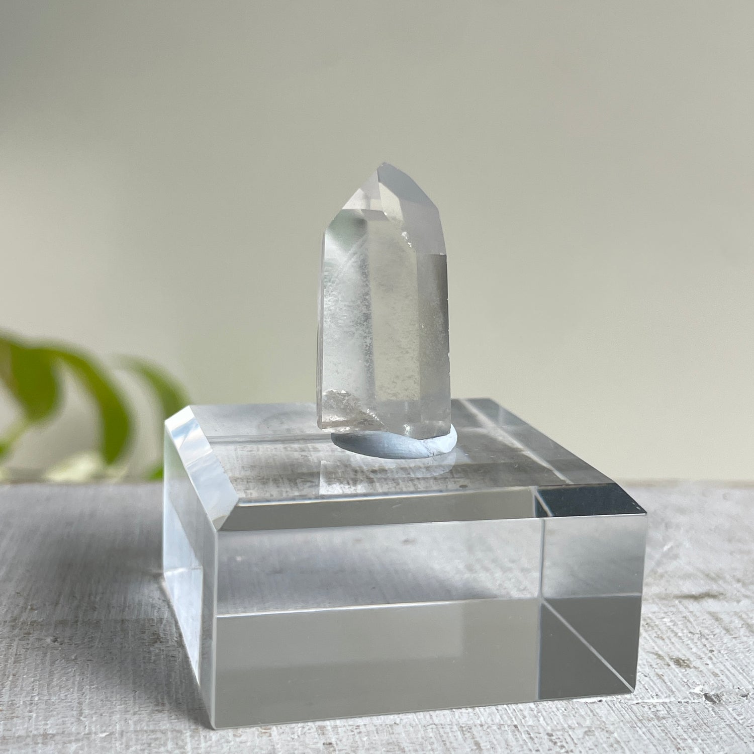 Phantom Quartz Generator Med