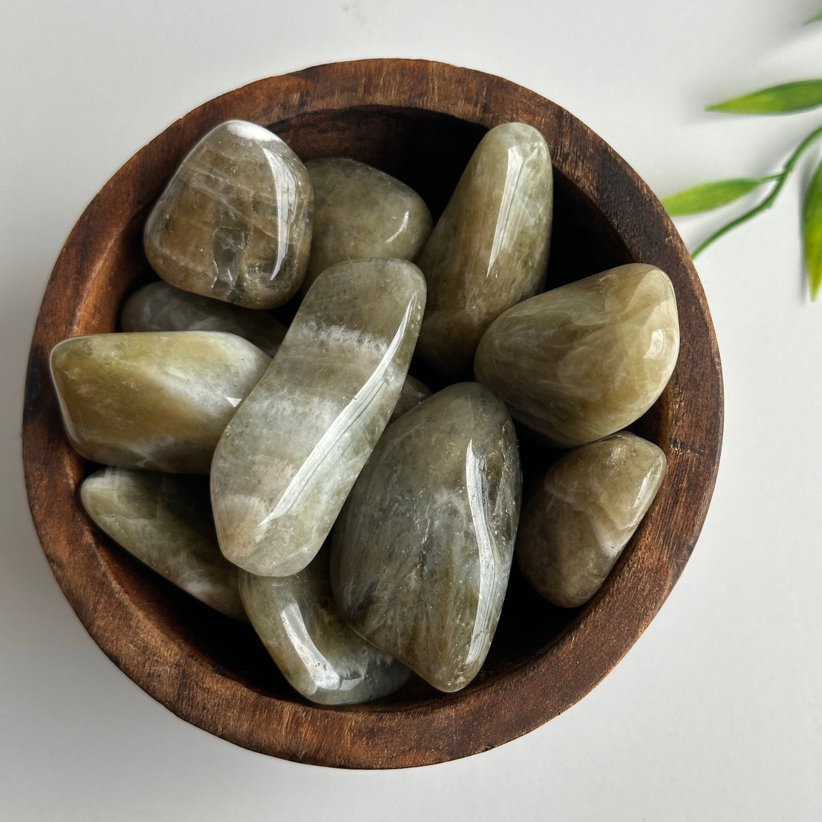 Prasiolite (Green Amethyst) Tumbled