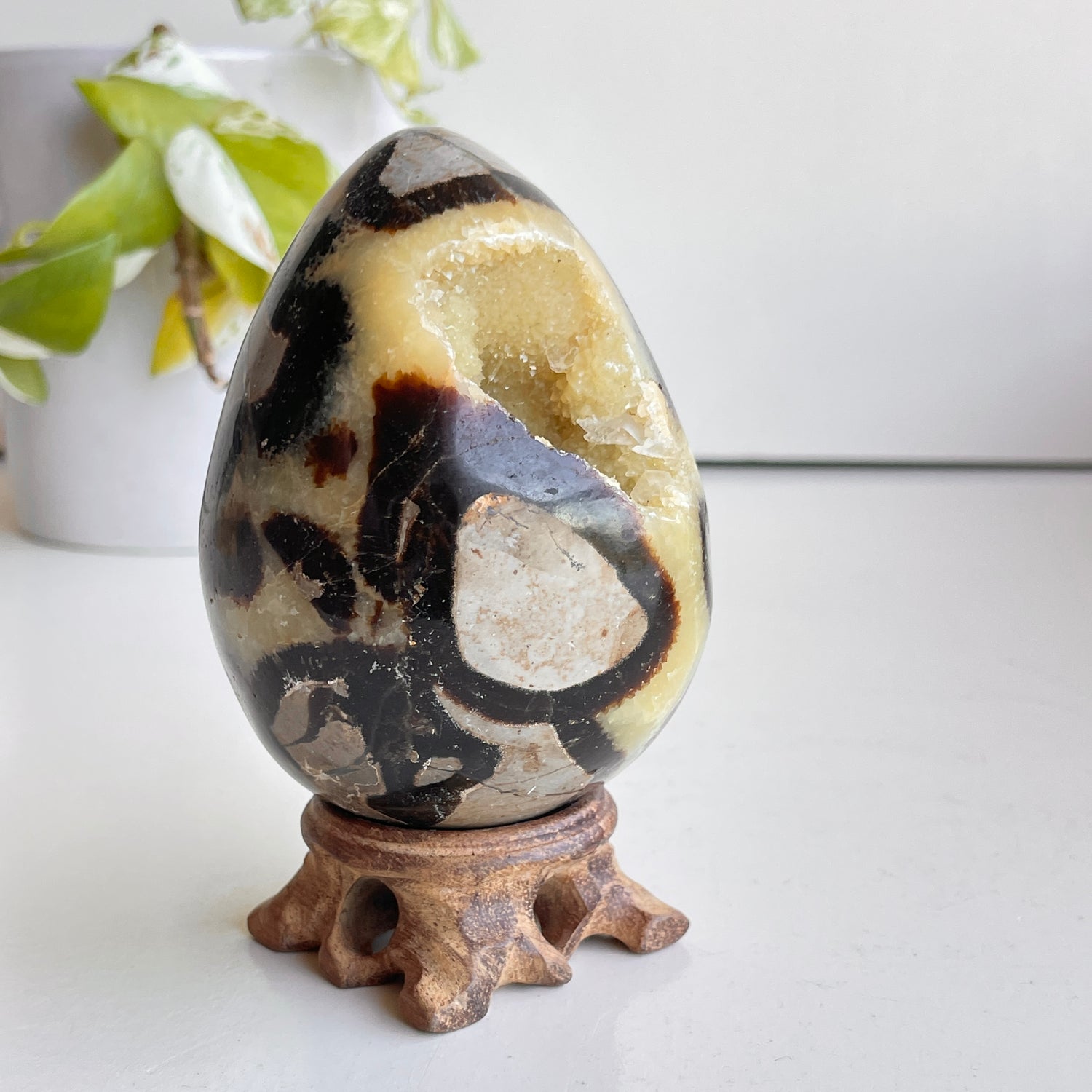 Septarian Egg 9.3cm