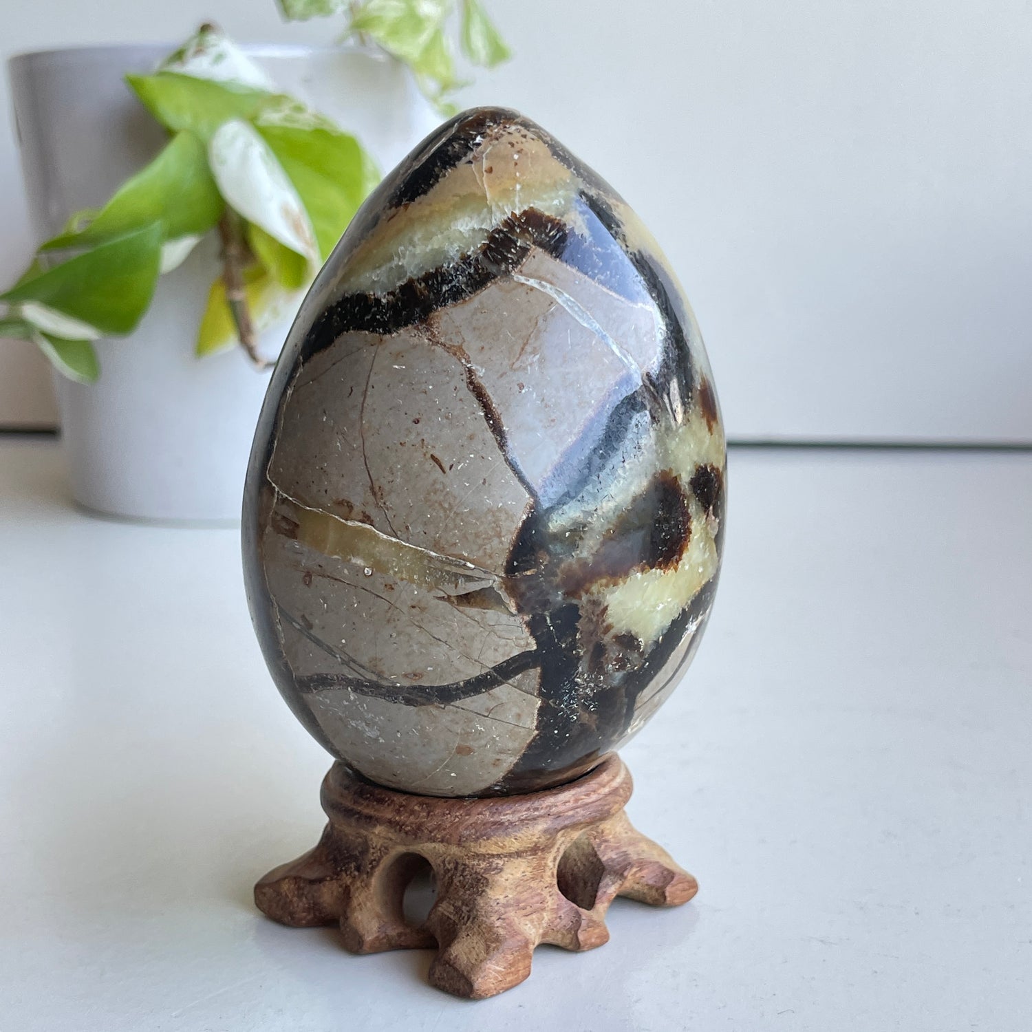 Septarian Egg 9.3cm