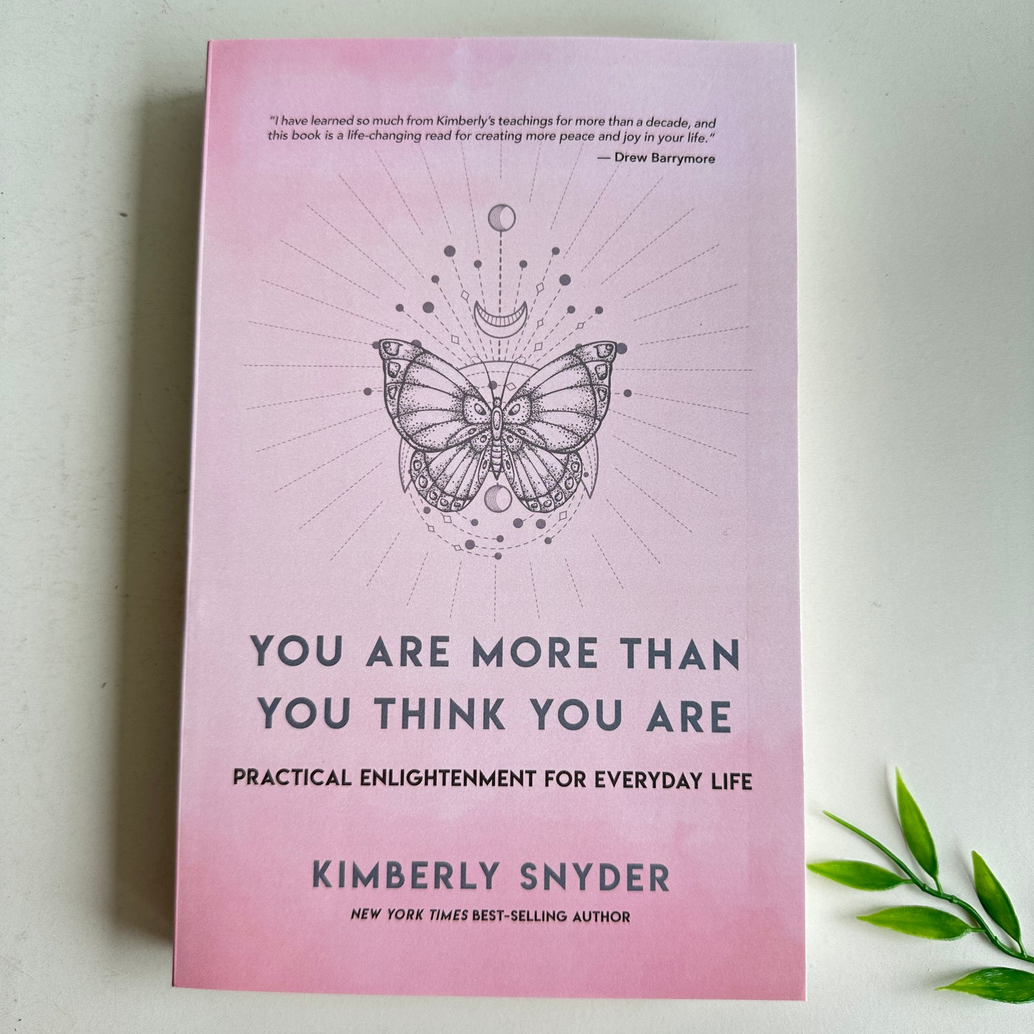 You Are More Than You Think You Are Kimberly Snyder