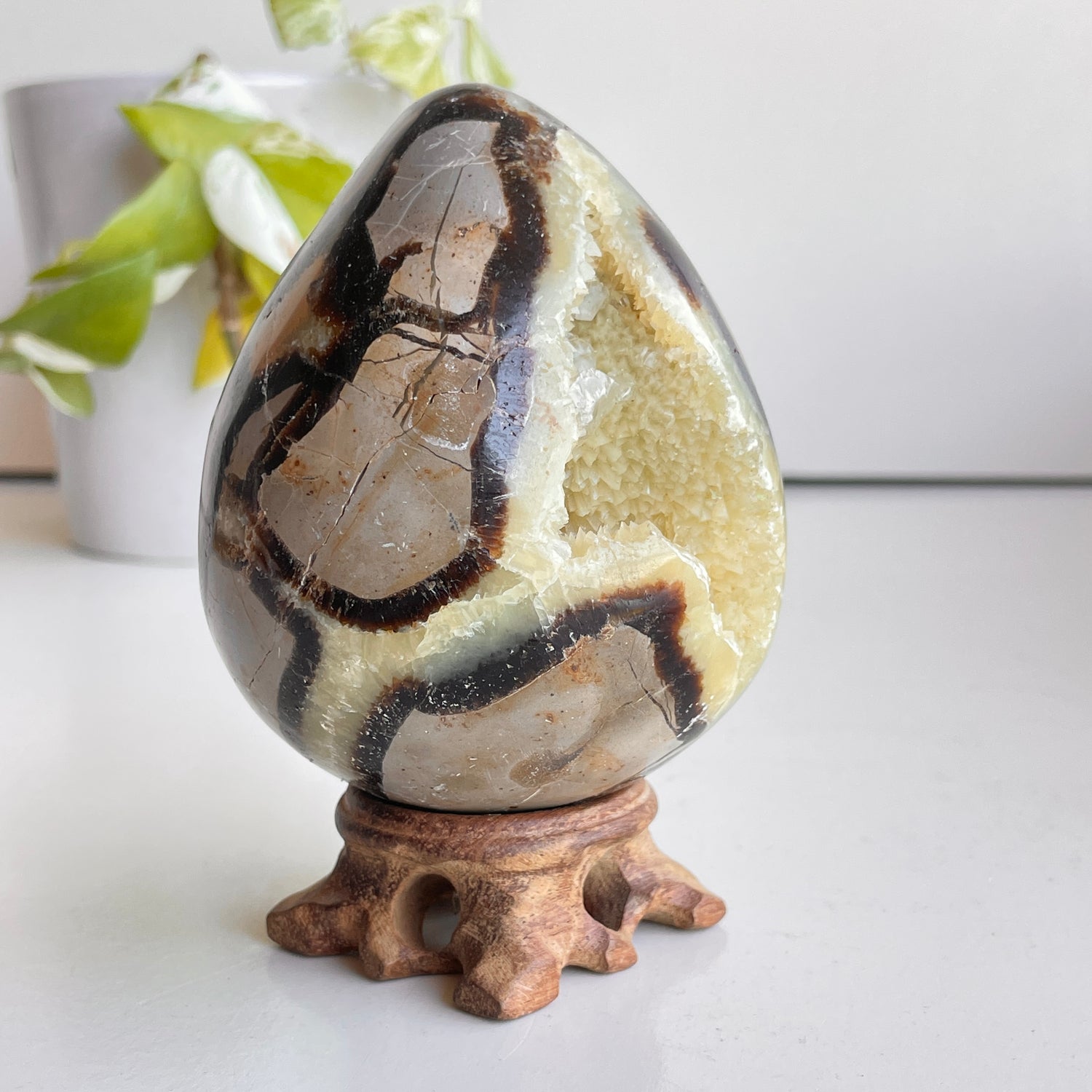 Septarian Egg 9.5cm