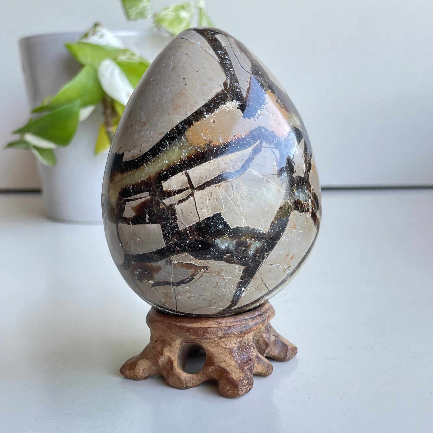 Septarian Egg 9.5cm