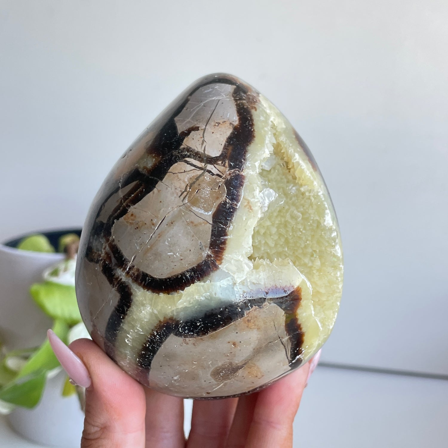 Septarian Egg 9.5cm