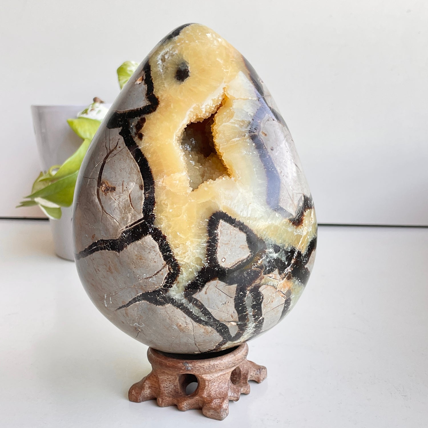 Septarian Egg 17cm