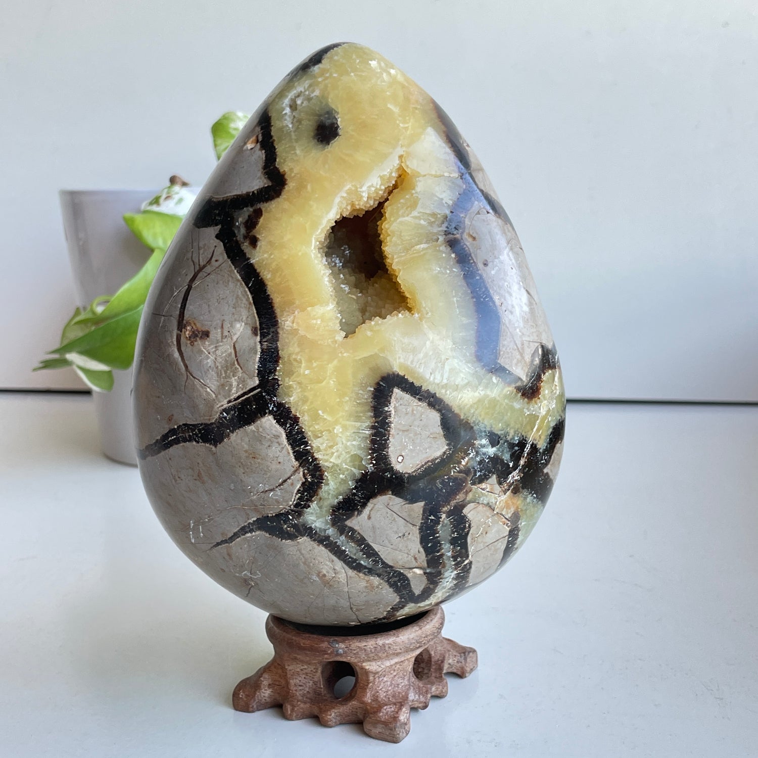 Septarian Egg 17cm