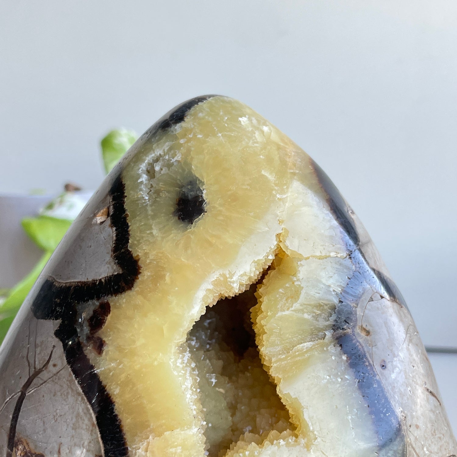Septarian Egg 17cm