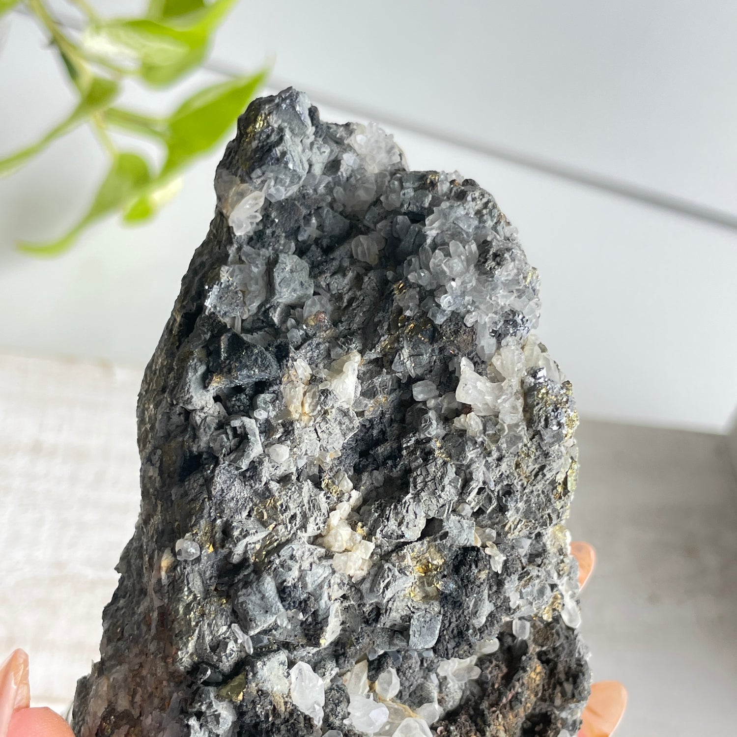 Pyrite & Quartz Cluster 628g