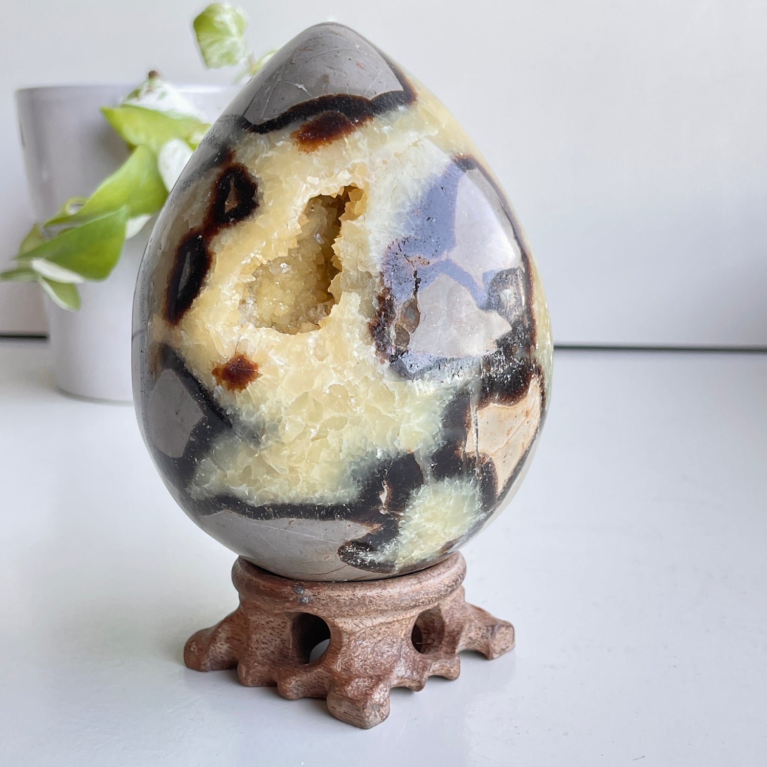 Septarian Egg 12.1cm