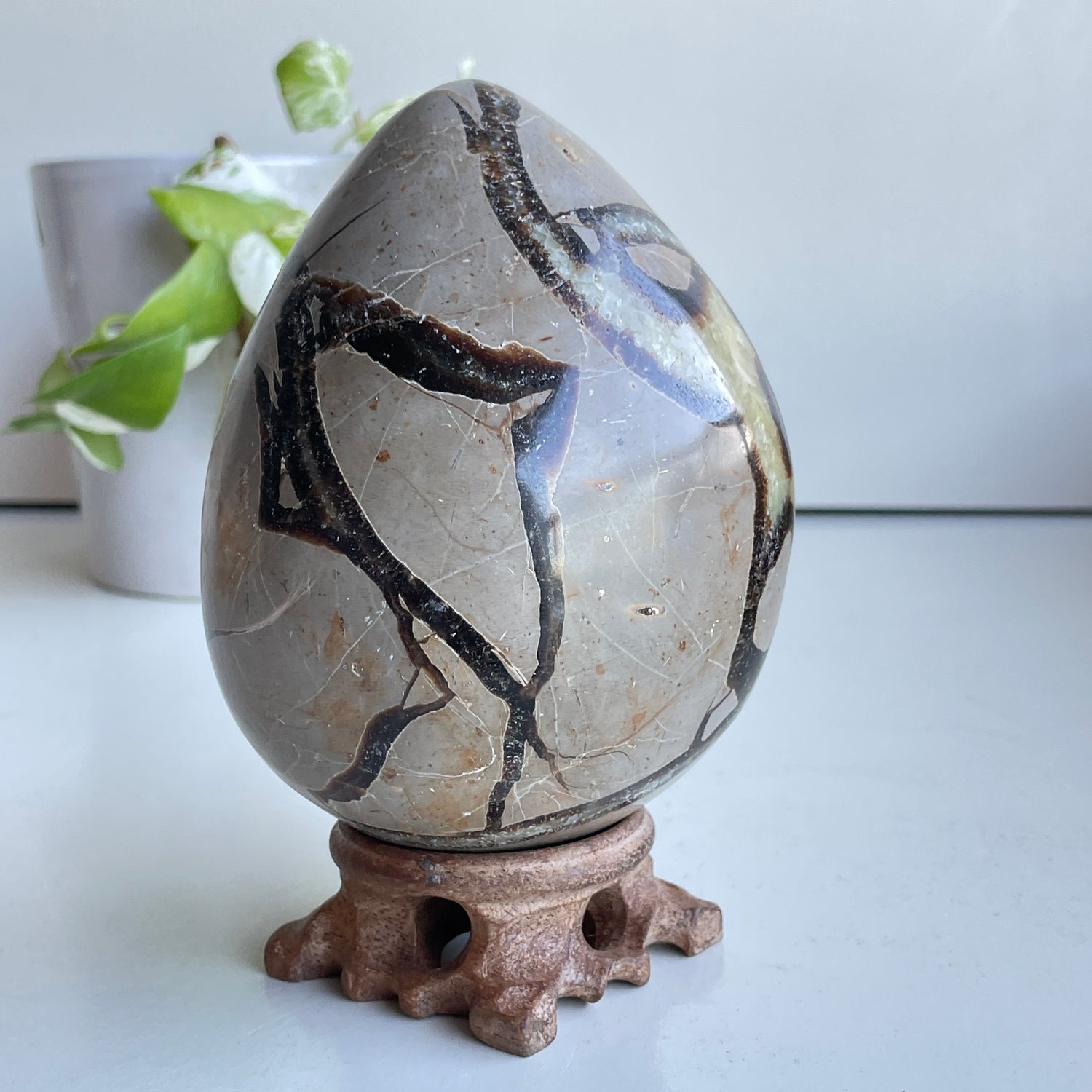 Septarian Egg 12.1cm