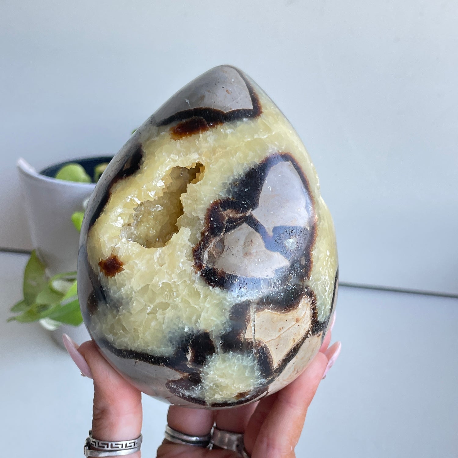 Septarian Egg 12.1cm