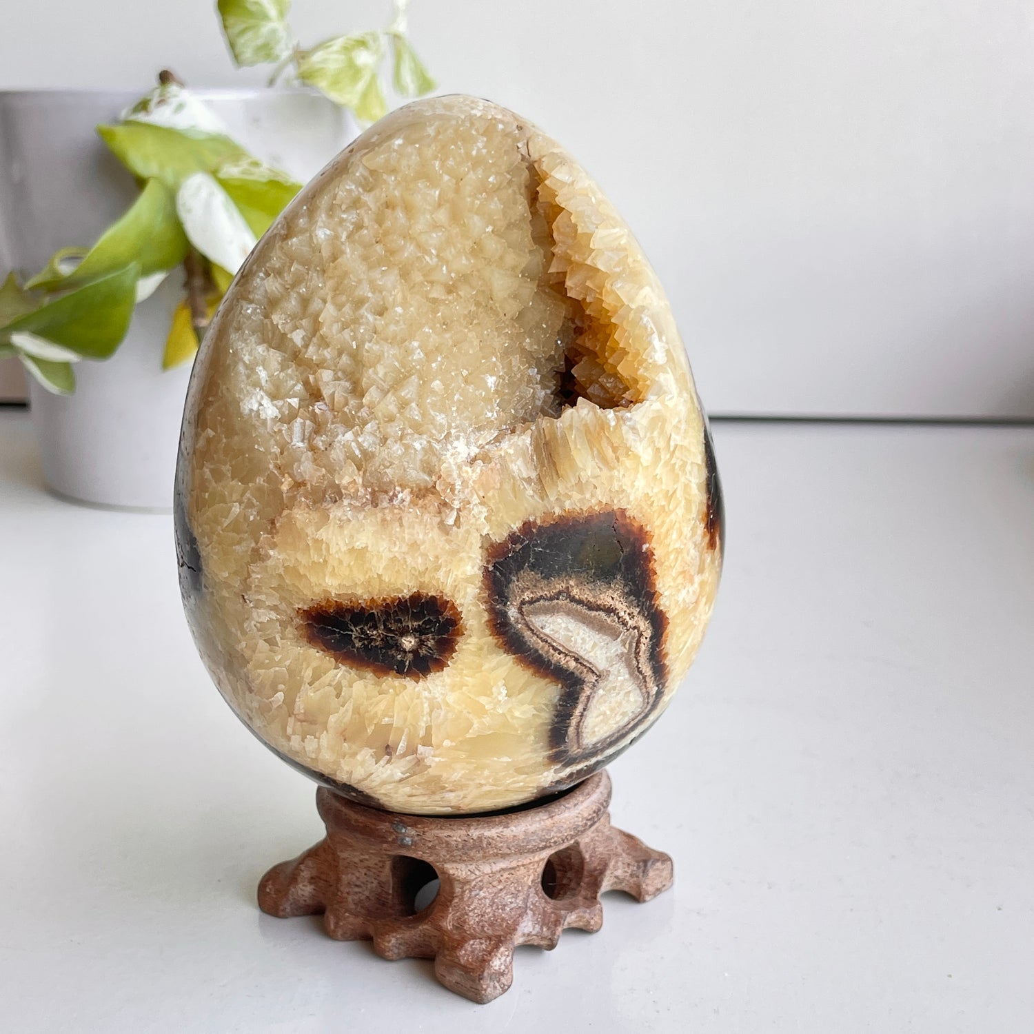 Septarian Egg 12.1cm