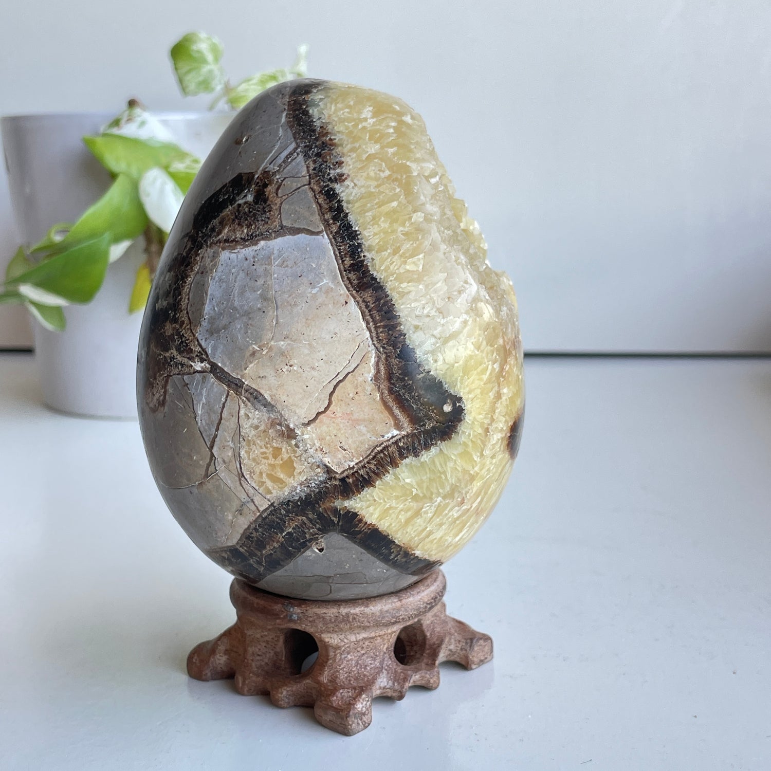 Septarian Egg 12.1cm